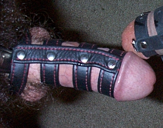 CLICK ON THAT COCK...